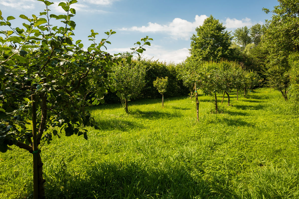 Agricampeggio Pordenone